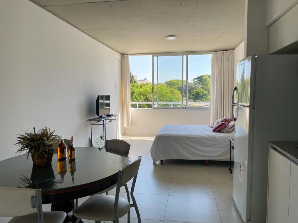 Apartment Monoambiente Drumond *