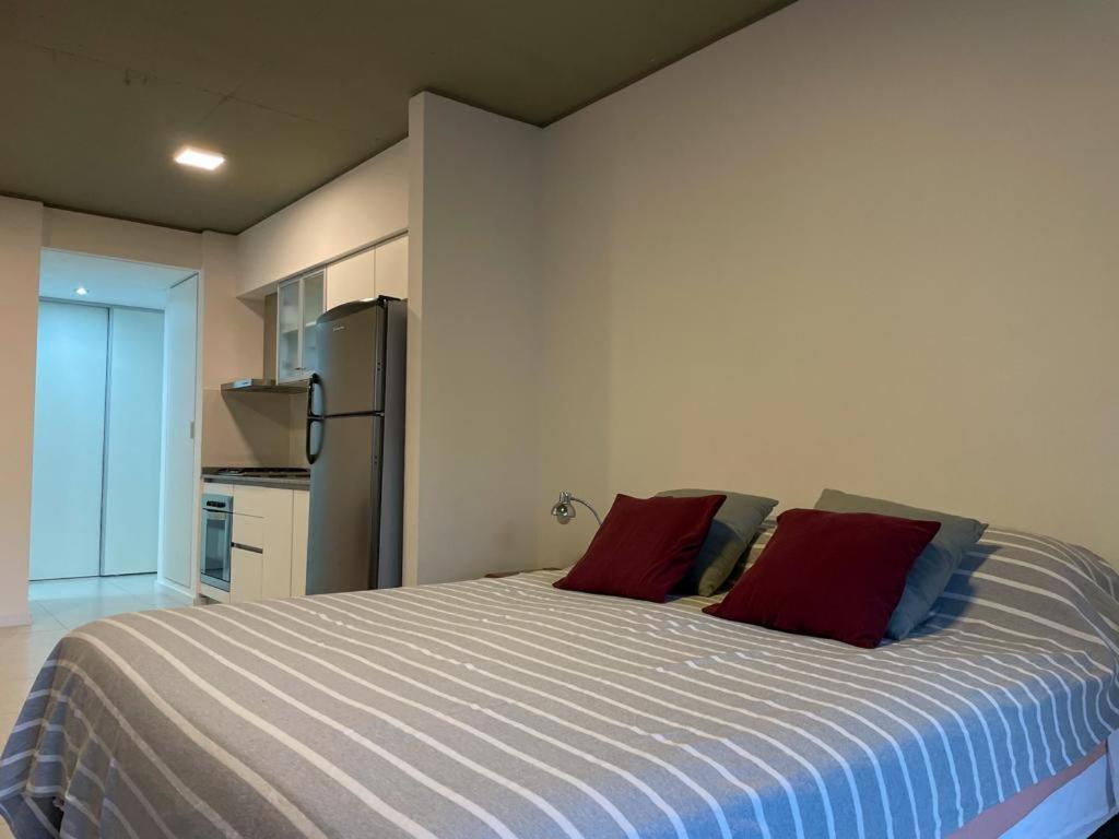Apartment Monoambiente Drumond *